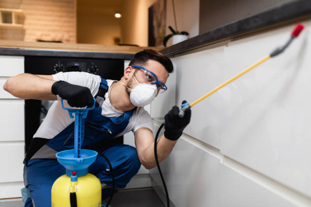 Best Pest Control Near Me  in Banks Springs, LA