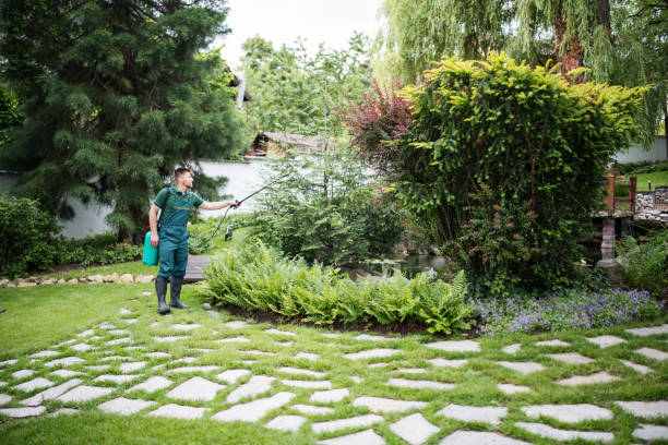 Best Pest Removal Services  in Banks Springs, LA