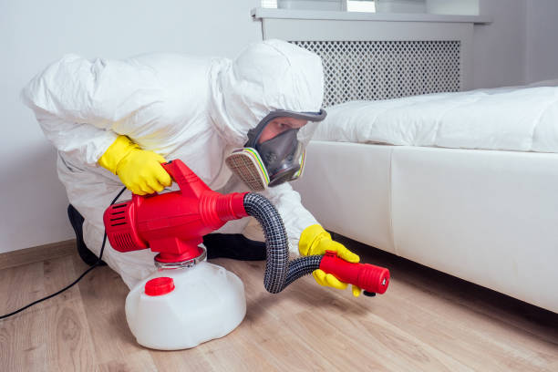 Best Pest Prevention Services  in Banks Springs, LA