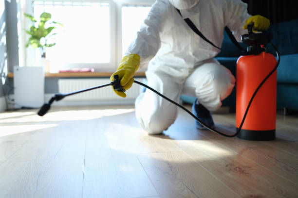 Best Best Pest Control Companies  in Banks Springs, LA