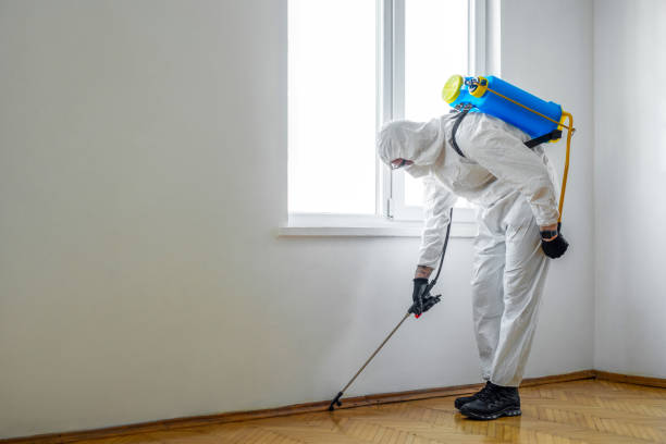 Best Best Pest Control Companies  in Banks Springs, LA