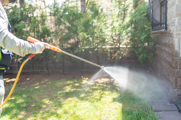 Best Emergency Pest Control  in Banks Springs, LA