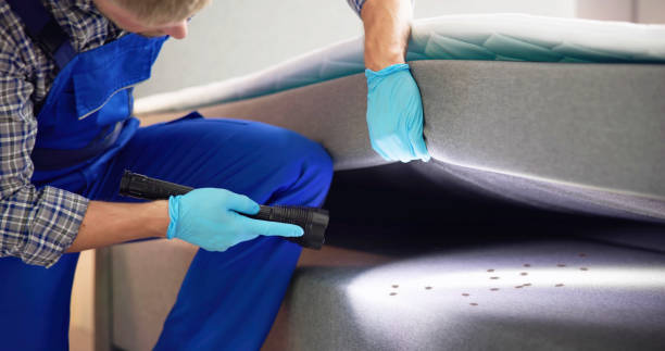 Best Pest Control Near Me  in Banks Springs, LA