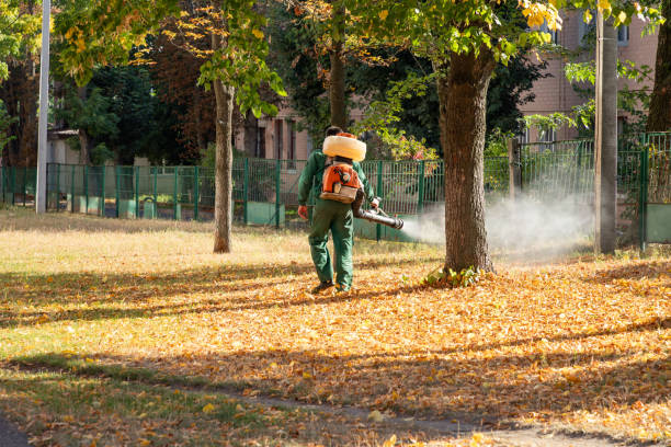 Best Bed Bug Extermination  in Banks Springs, LA