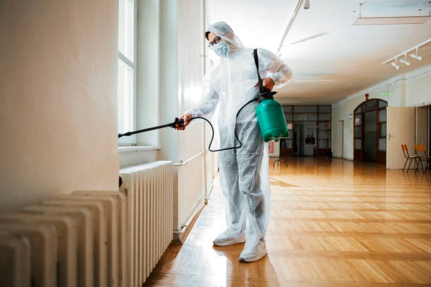 Reliable Banks Springs, LA Pest Control Solutions